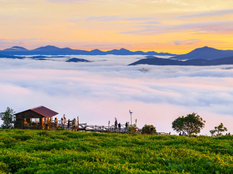 ĐÀ LẠT - THIÊN ĐƯỜNG SĂN MÂY